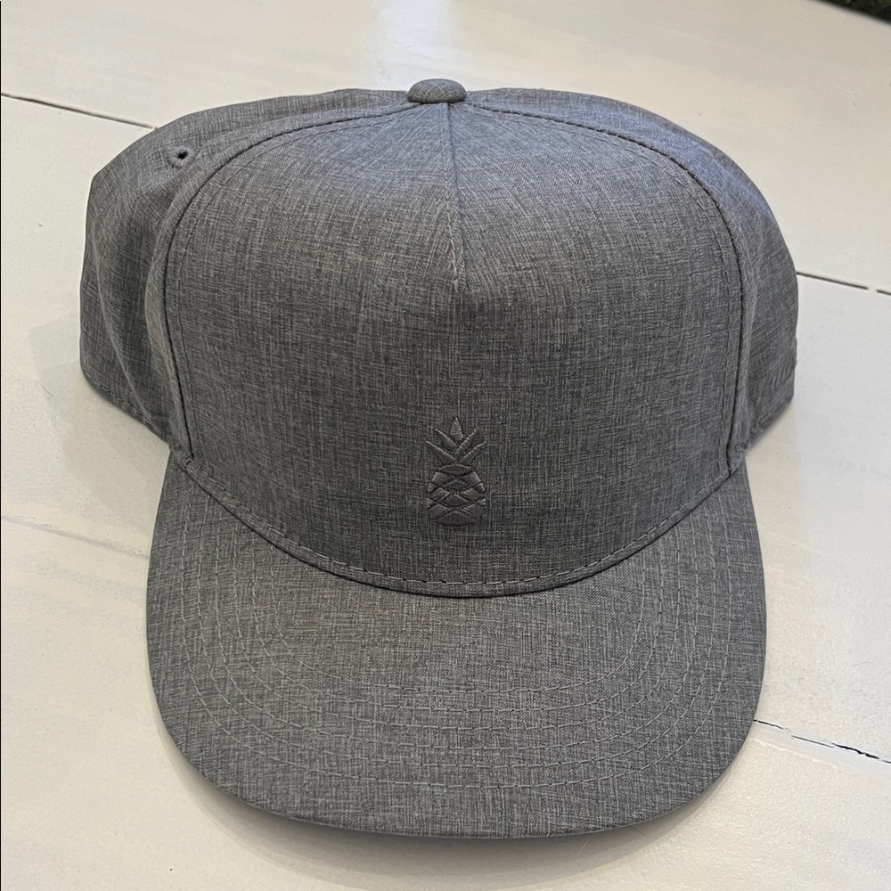 Chubbies Textured Gray Cap